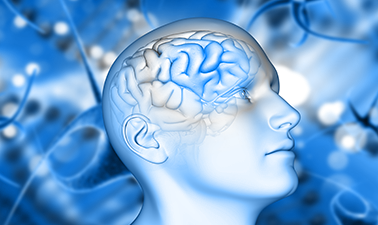 Research : The Neuro - Exposome: Targeting Well!