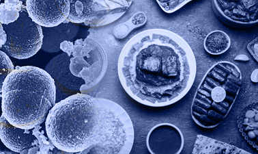 Research: Carbapenem and Colistin-Resistant Hypervirulent Klebsiella Pneumoniae: An Emerging Threat Transcending the Egyptian Food Chain 